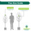 Gardeners Dream Malus Royalty Tree (12L, 5-6ft) 4