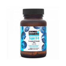 Blueberry Naturals Super B-6 100 mg Vegetarian Capsules 50's B0050