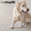 Pretty Pooch Squeaky Clean Kit Dog Lover Gift Set 6