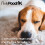 Pretty Pooch Squeaky Clean Kit Dog Lover Gift Set 2