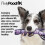 Pretty Pooch Squeaky Clean Kit Dog Lover Gift Set 3