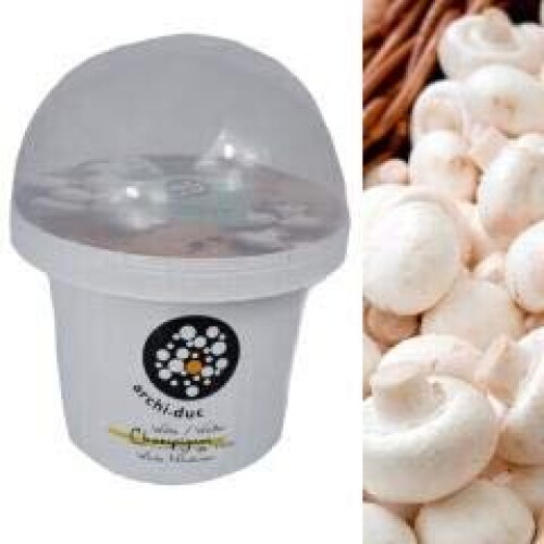 Mushroom Growing Kit White Button Mushroom Grow Kit Educational Kit on OnBuy