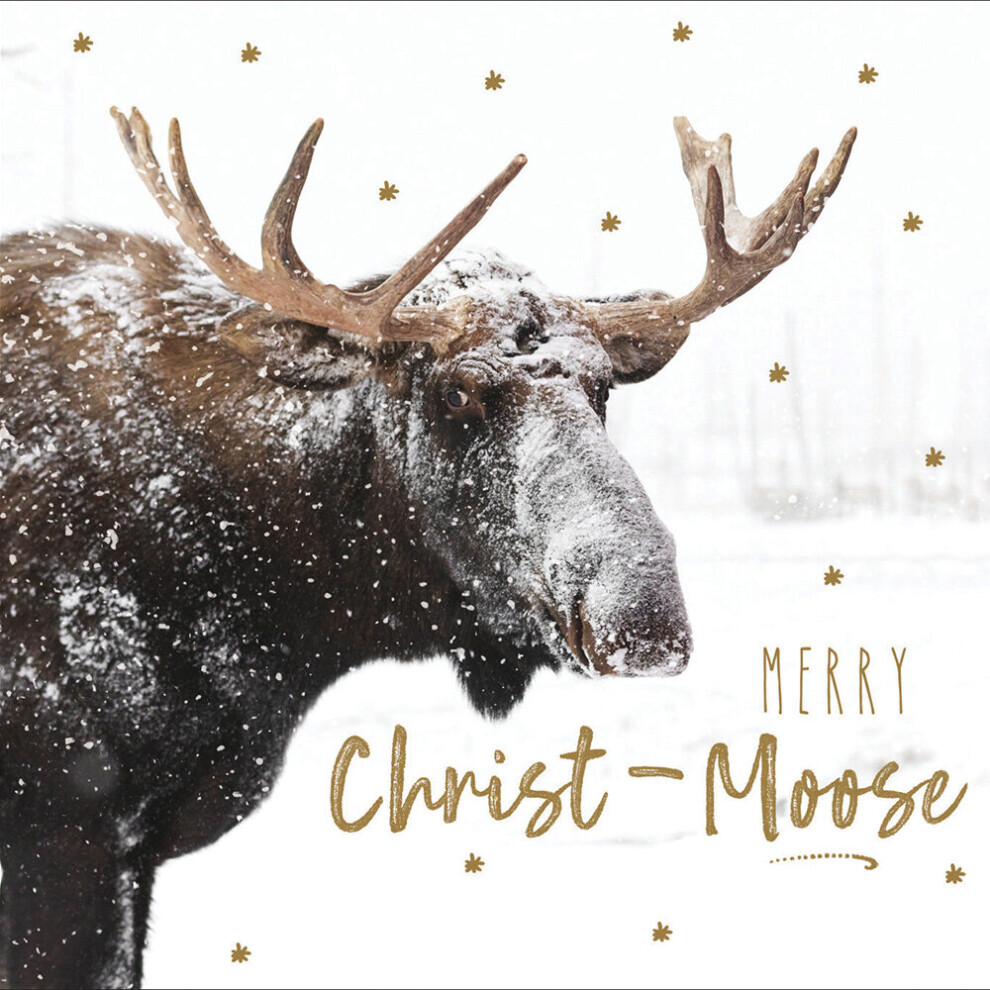 Pack of 5 Delights Of December Christmas Cards Supporting Multiple Charities