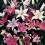 (12) MIXED  Oriental Lily 2