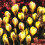 (20) Crocus-Dorothy 1