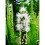 (6) LIATRIS SPICATA ALBA 3