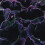 (1) VIOLACEA  GLOXINIA   BULBS/CORMS 3