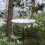Selections Cast Iron Daisy Bird Feeder 3