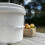Selections Apple Scratter Fruit Pulping Bucket 4