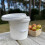 Selections Apple Scratter Fruit Pulping Bucket 5