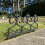 Selections Fleur de Lys Black Plastic Lawn Edging (60cm x 32cm) - 10 Panels 4