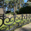Selections Fleur de Lys Black Plastic Lawn Edging (60cm x 32cm) - 10 Panels 5