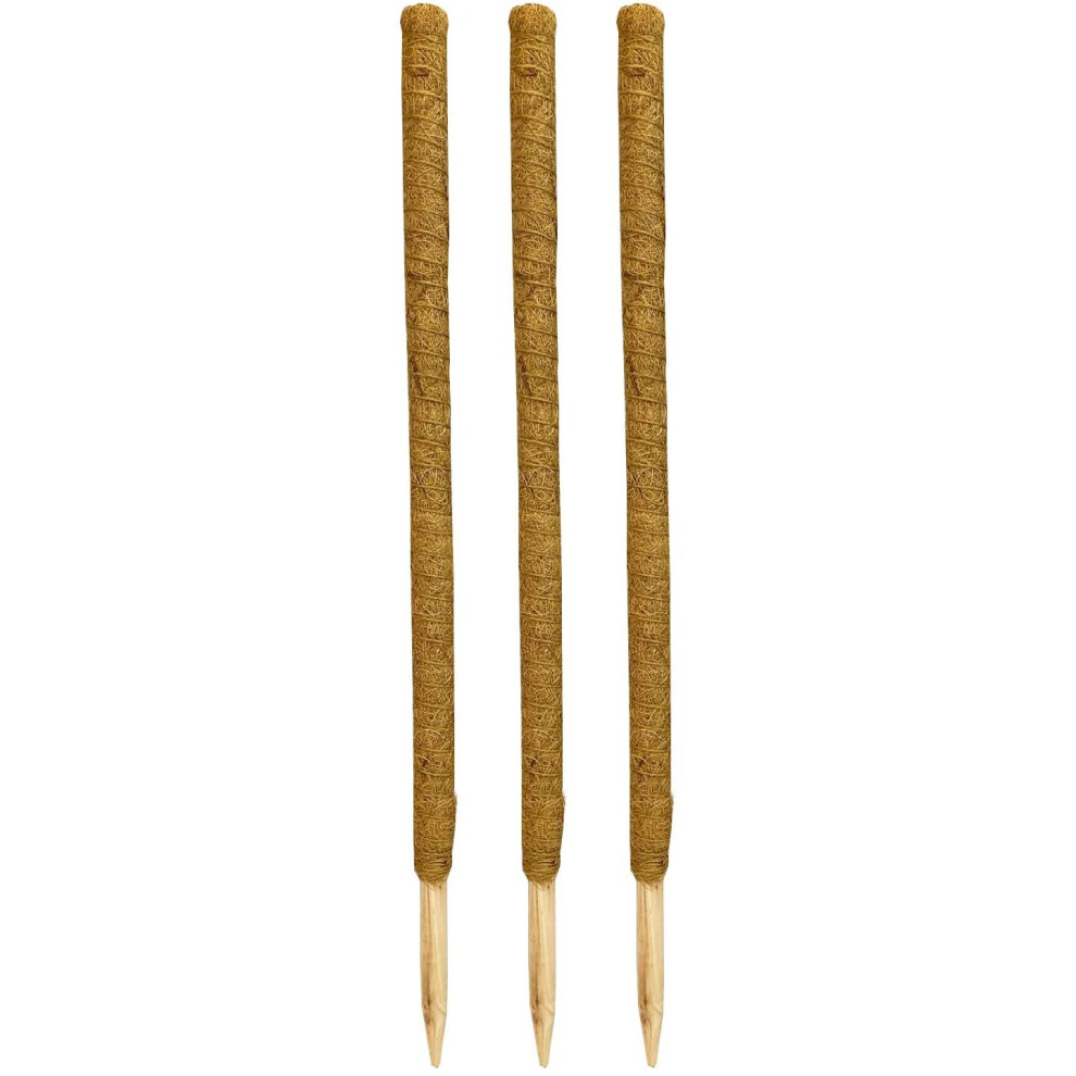 Pack of 3 Coco Fibre Palm Stick Plant Supports (80cm)
