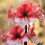 Indoor Amaryllis Hippeastrum - Charisma 1