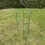 Selections Pack of 5 Conical Garden Plant Support Rings (60cm) 4