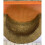 Selections Swallow Nest Half Cup Bird House 5