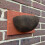 Selections Swallow Nest Half Cup Bird House 2