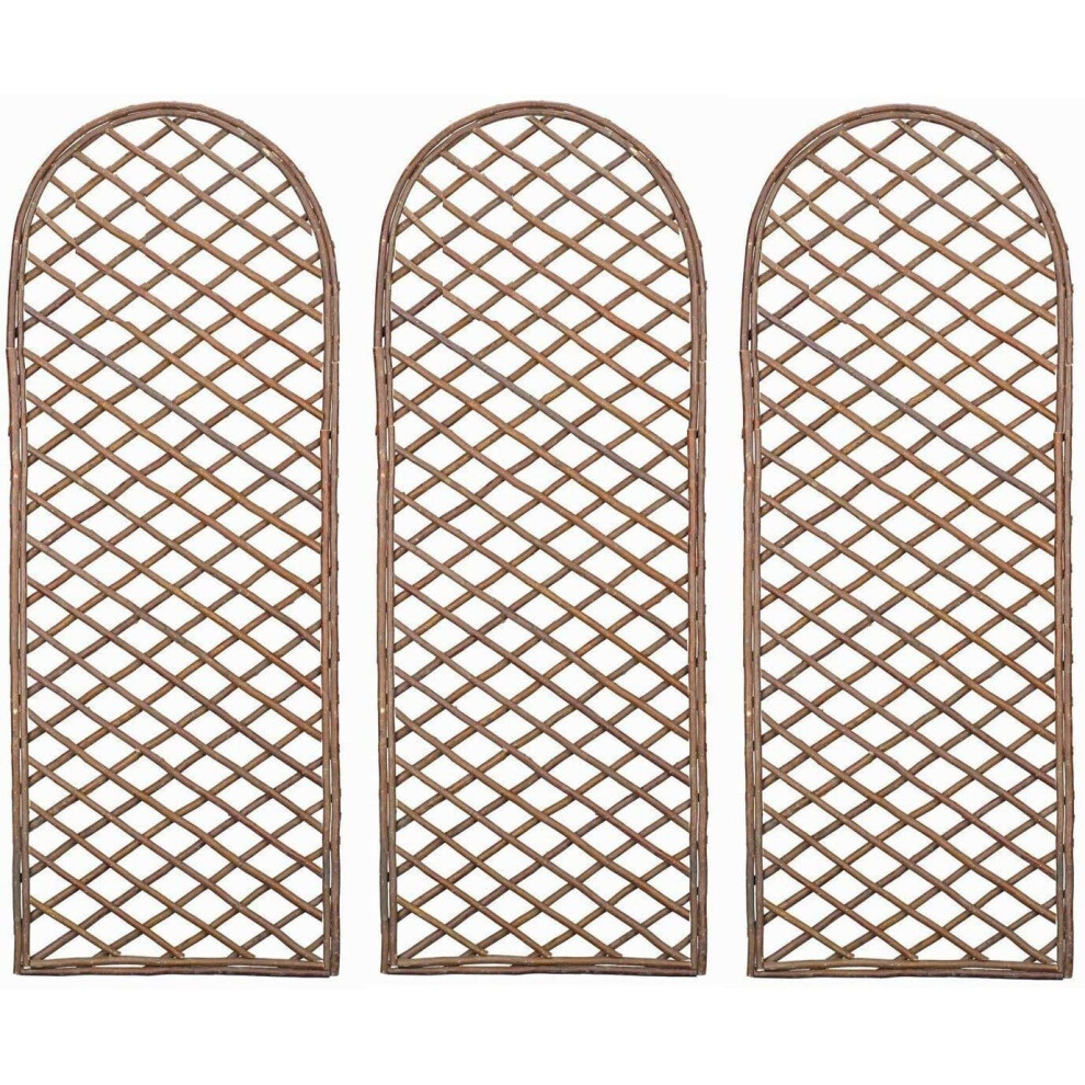 Selections Set Of 3 Willow Trellis With Curved Top (120Cm X 45Cm)
