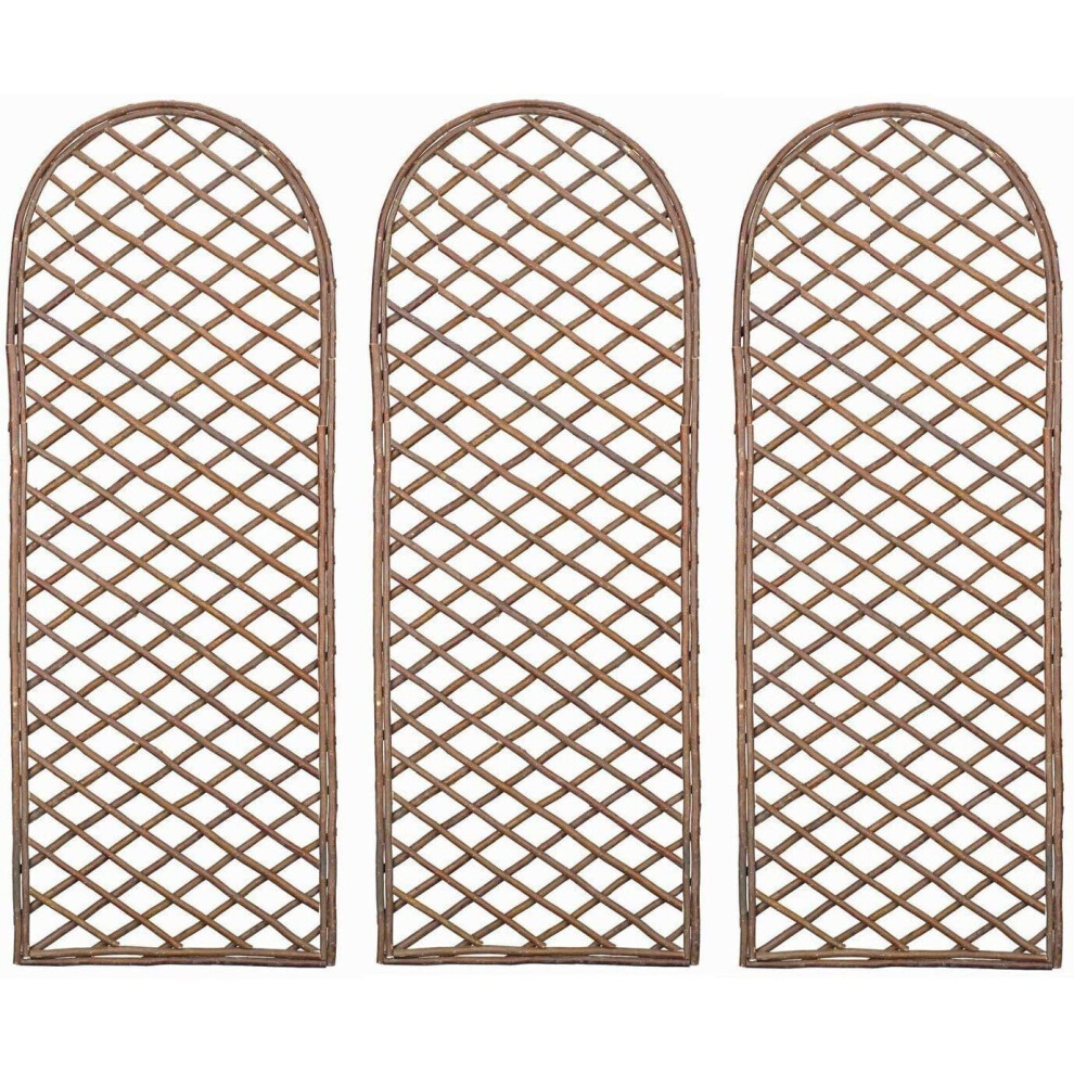 Set of 3 Willow Trellis With Curved Top (120cm x 45cm)