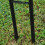 Selections Tivoli Metal Decorative Garden Arch 9