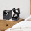 Double Watch Winder Box Automatic Rotating Watch Rotator Case Men Self 6