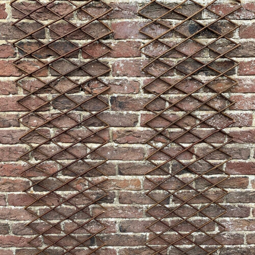 Selections Set of 2 Expanding Willow Trellis (180cm x 30cm) 2