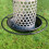 Selections Squirrel Resistant Hanging Bird Mealworm Feeder 5