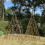 Selections Set of 3 Expanding Willow Garden Obelisks (1.2m) 3