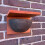 Selections House Martin Bird Nest Boxes (Set of 2) 5