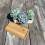 Selections White Succulent and Cactus Trough Garden Plant Pot 3