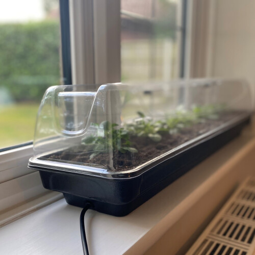 Selections Jumbo Windowsill Heated Plant Propagator (80cm) 2