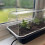 Selections Jumbo Windowsill Heated Plant Propagator (80cm) 4