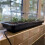 Selections Jumbo Windowsill Heated Plant Propagator (80cm) 2