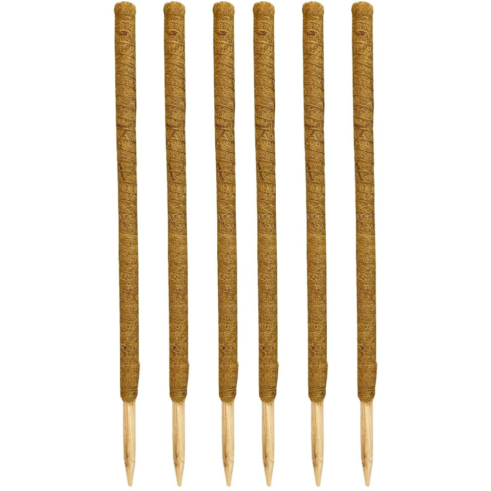 Pack of 6 Coco Fibre Palm Stick Plant Supports (80cm)