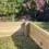 Selections Wooden Raised Vegetable Bed (122cm x 18cm) 5