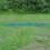 Selections Roll Out Green Plastic Garden Track Path (9m Roll) 4
