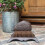 Selections Cast Iron Hedgehog Boot Brush Shoe Scraper 2