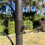 Selections Hanging Bracket Hook for Bird Feeding Stations (Set of 2) 4