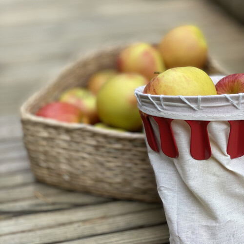 Selections Head for Telescopic Apple & Fruit Picker 1