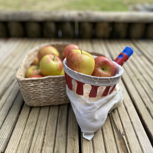 Selections Head for Telescopic Apple & Fruit Picker 2