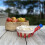 Selections Head for Telescopic Apple & Fruit Picker 5