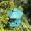 Selections 4 x Durlston Green Chalet Bird Seed & Nut Feeders 3