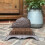 Selections Cast Iron Hedgehog Boot Brush Shoe Scraper 5