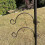 Selections Hanging Bracket Hook for Bird Feeding Stations (Set of 2) 3