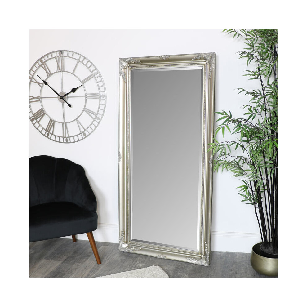 Large Champagne Ornate Wall/Floor Mirror 158cm X 78cm