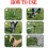 Weed Puller Weeder Twister Twist Pull Garden Lawn Root Remover Tool 6