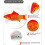 (Clownfish) Electric Fish Wagging Moving Interactive Pet Toy 2