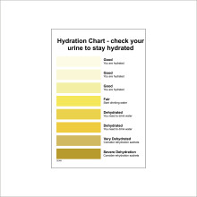 (150 x 200mm - 6 x 8, F - 5mm Heavy Duty Foamex Foamboard) GE988 Hydration Chart Check Your Urine Sign Medical Water Body Glucose Chart 450mm x 600mm B - Magnetic - Vehicle Grade
