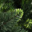 VidaXL vidaXL Artificial Pre-lit Christmas Tree with Pine Cones Artificial Tree Green 2