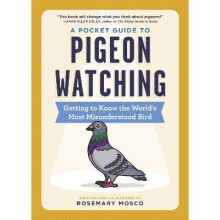 A Pocket Guide to Pigeon Watching